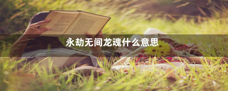 永劫无间龙魂什么意思