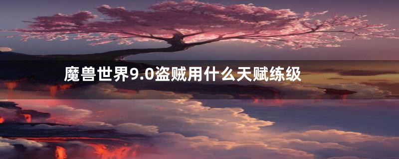 魔兽世界9.0盗贼用什么天赋练级