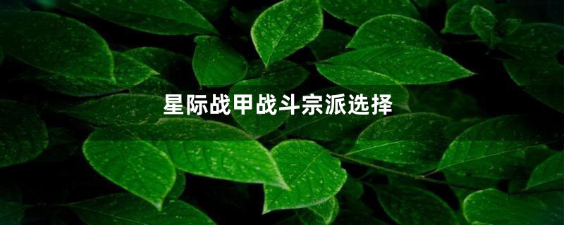 星际战甲战斗宗派选择