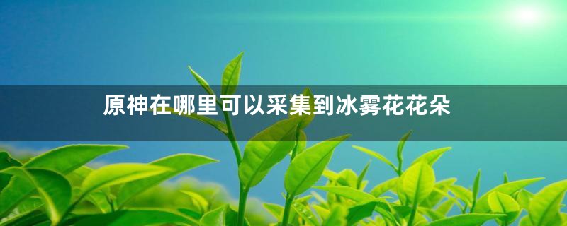 原神在哪里可以采集到冰雾花花朵
