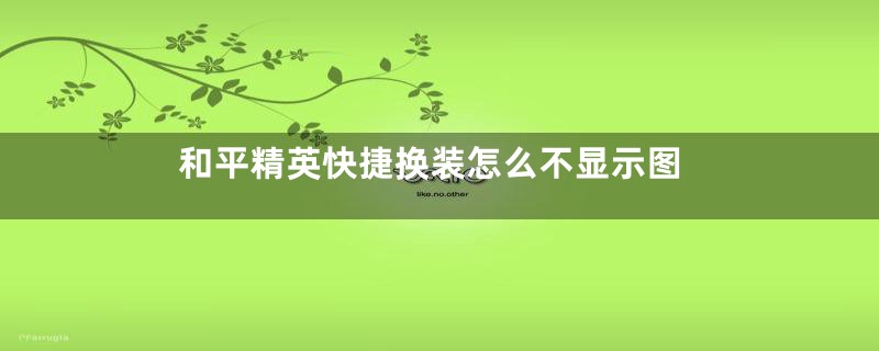 和平精英快捷换装怎么不显示图
