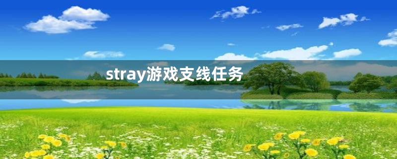 stray游戏支线任务