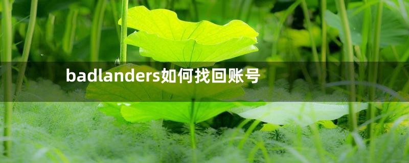 badlanders如何找回账号