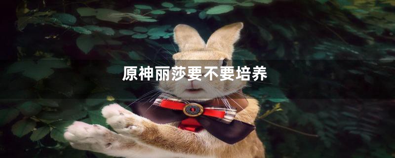 原神丽莎要不要培养