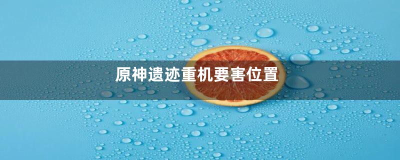原神遗迹重机要害位置