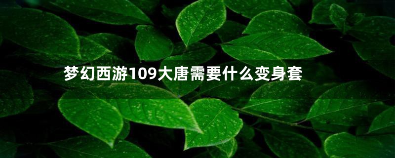 梦幻西游109大唐需要什么变身套