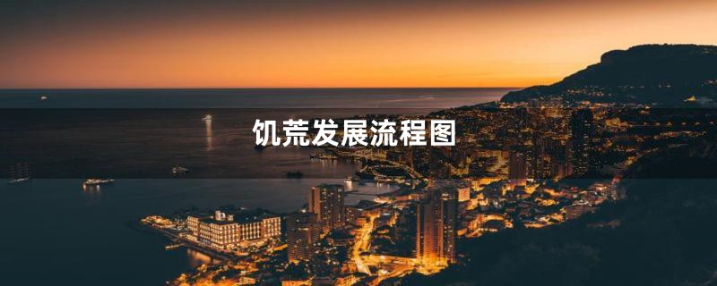 饥荒发展流程图