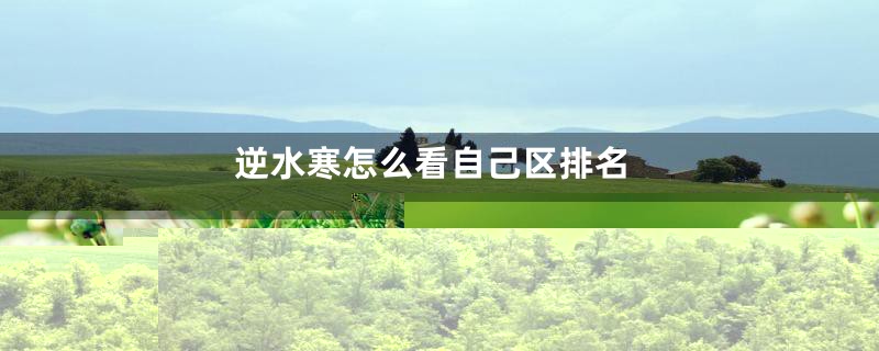 qq飞车圆梦之星魔王天狮哪个强
