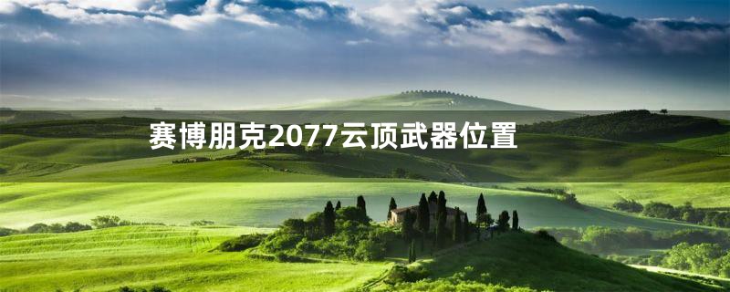 赛博朋克2077云顶武器位置