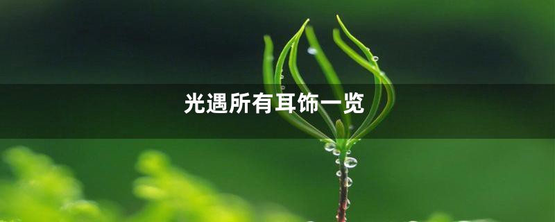 光遇所有耳饰一览