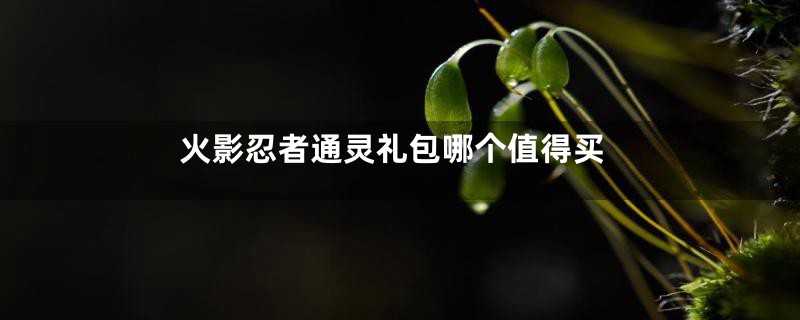 火影忍者通灵礼包哪个值得买
