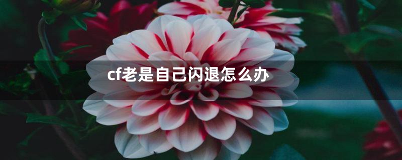cf老是自己闪退怎么办