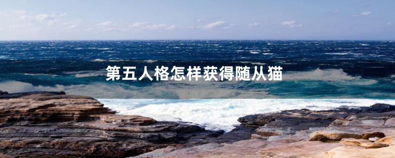 第五人格怎样获得随从猫
