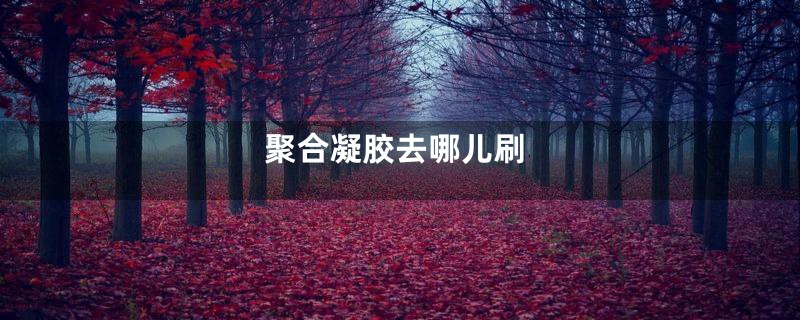 聚合凝胶去哪儿刷