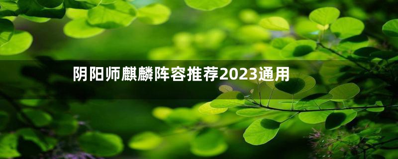 阴阳师麒麟阵容推荐2023通用
