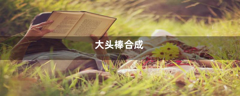 大头棒合成