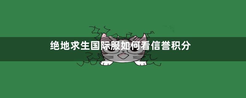 绝地求生国际服如何看信誉积分