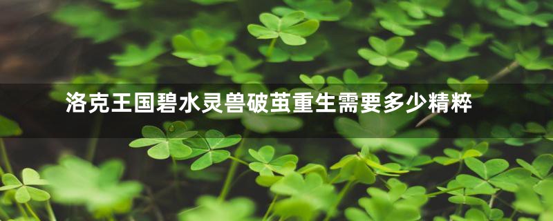 洛克王国碧水灵兽破茧重生需要多少精粹