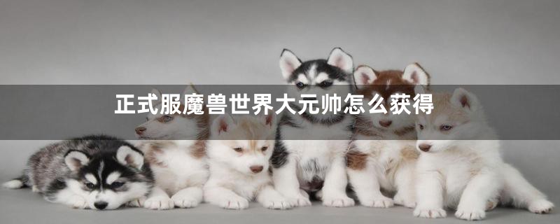 正式服魔兽世界大元帅怎么获得