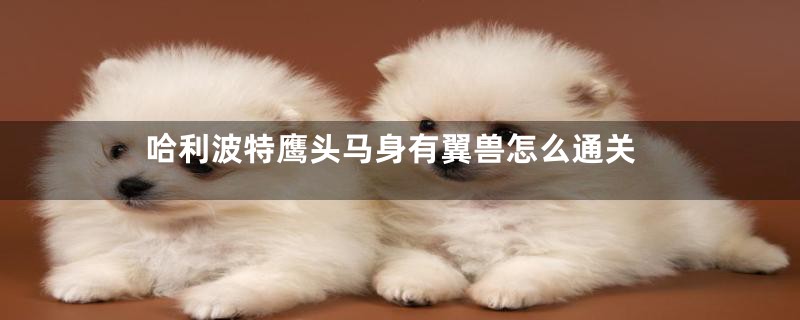 哈利波特鹰头马身有翼兽怎么通关