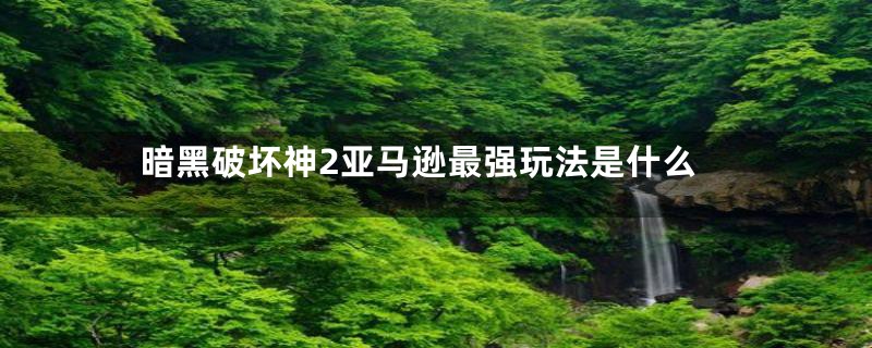 暗黑破坏神2亚马逊最强玩法是什么