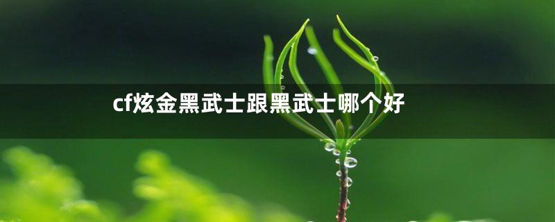 cf炫金黑武士跟黑武士哪个好