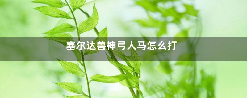 塞尔达兽神弓人马怎么打