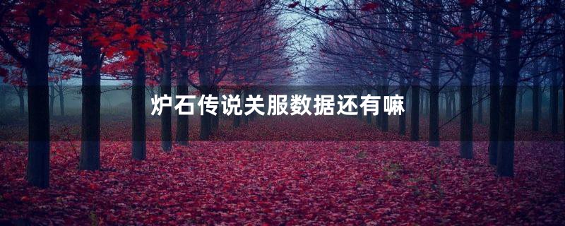 炉石传说关服数据还有嘛