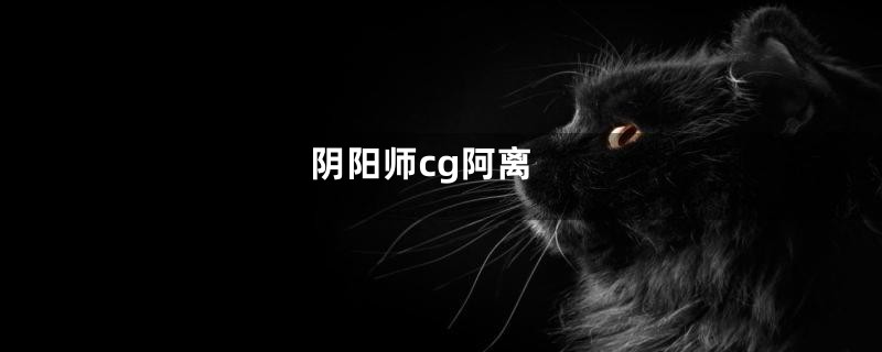 阴阳师cg阿离