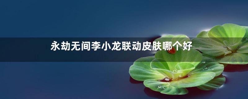 永劫无间李小龙联动皮肤哪个好