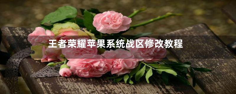 王者荣耀苹果系统战区修改教程