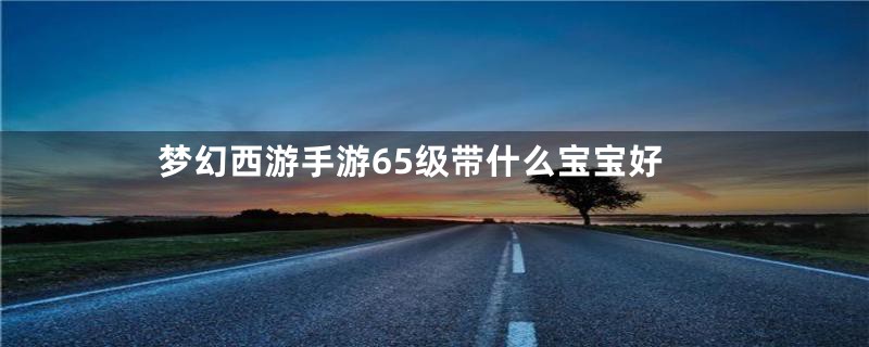 梦幻西游手游65级带什么宝宝好