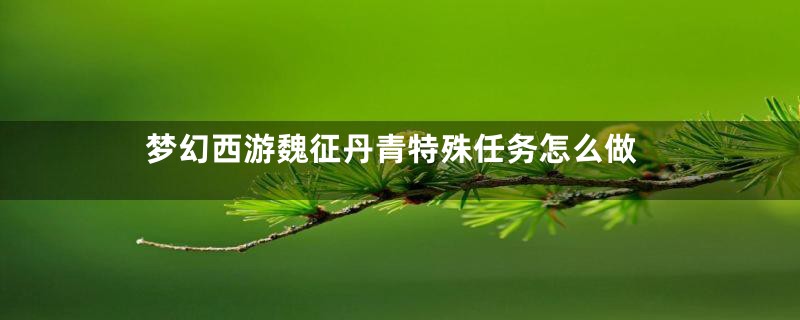 梦幻西游魏征丹青特殊任务怎么做