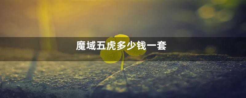 魔域五虎多少钱一套