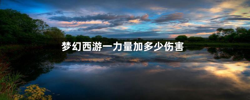 梦幻西游一力量加多少伤害