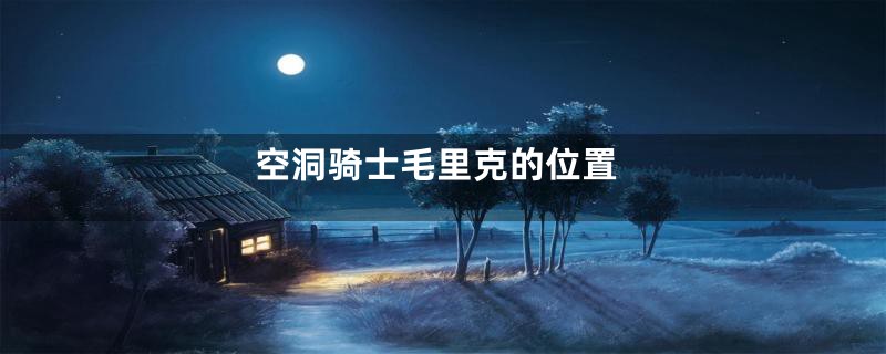 空洞骑士毛里克的位置