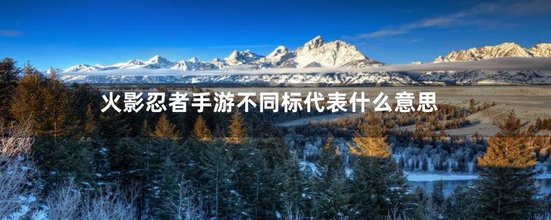 火影忍者手游不同标代表什么意思