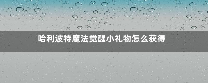 哈利波特魔法觉醒小礼物怎么获得