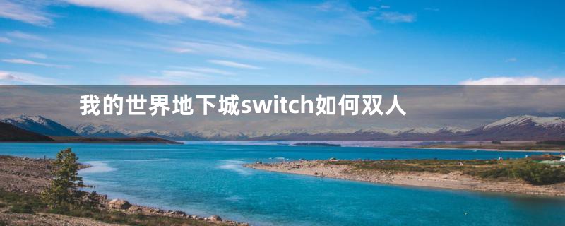 我的世界地下城switch如何双人
