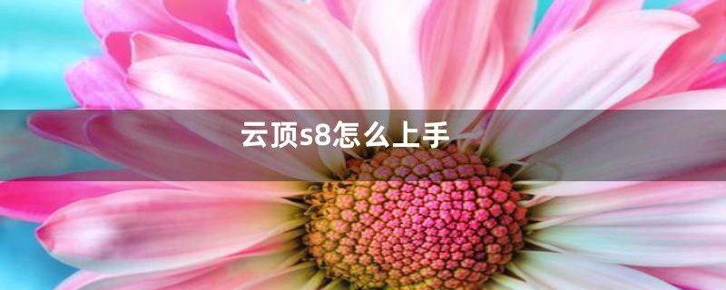 云顶s8怎么上手