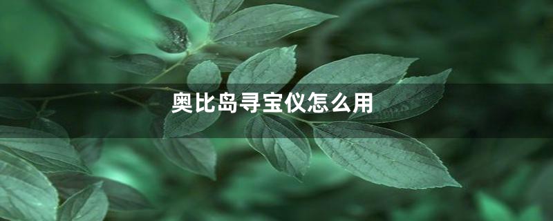 奥比岛寻宝仪怎么用