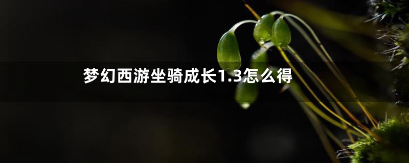 梦幻西游坐骑成长1.3怎么得