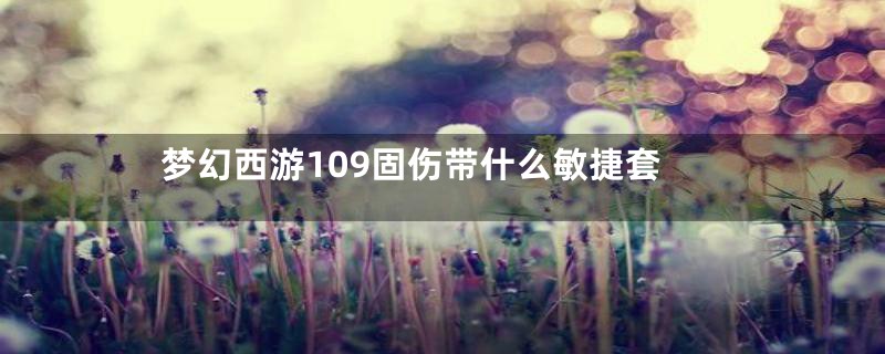 梦幻西游109固伤带什么敏捷套