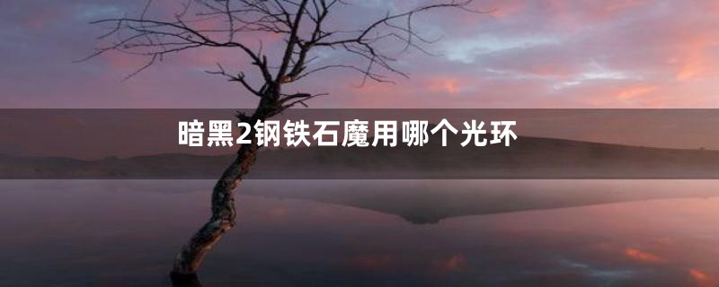 暗黑2钢铁石魔用哪个光环