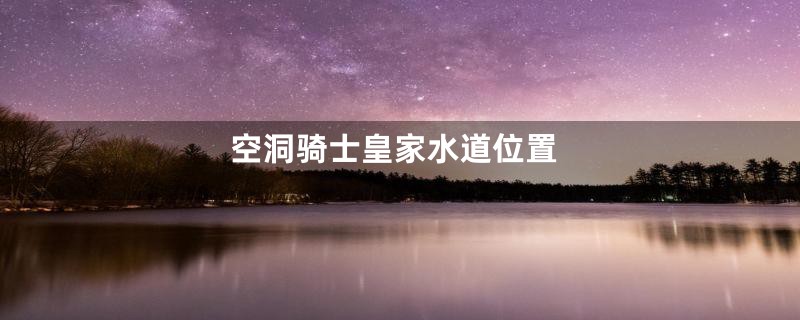 空洞骑士皇家水道位置