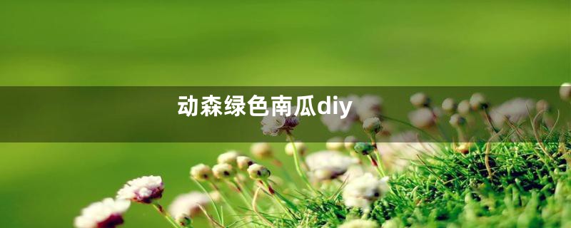 动森绿色南瓜diy