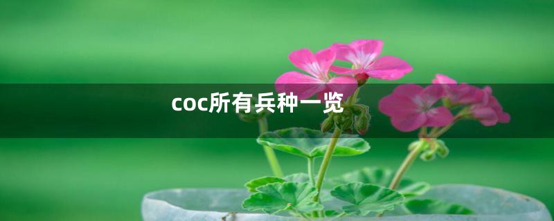 coc所有兵种一览