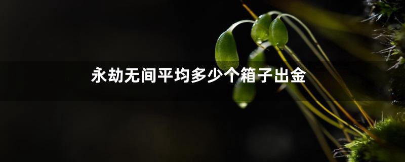 永劫无间平均多少个箱子出金