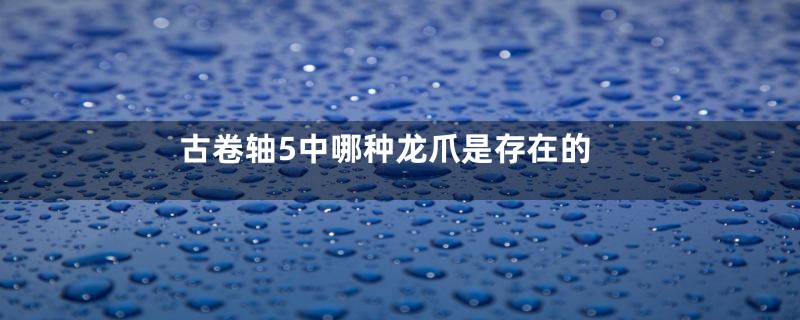 古卷轴5中哪种龙爪是存在的