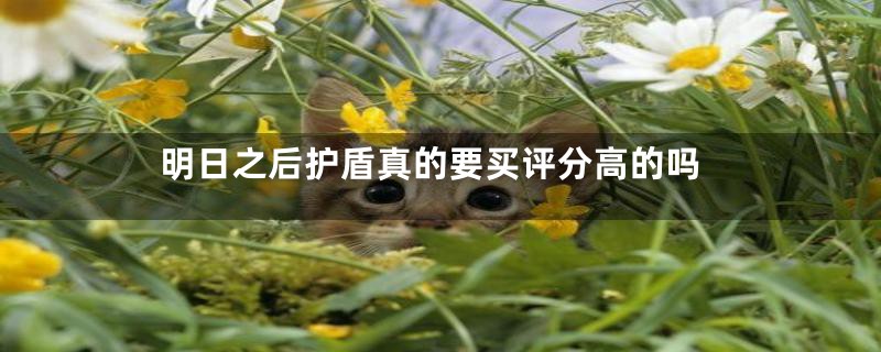 明日之后护盾真的要买评分高的吗